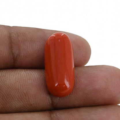 Red Coral (Moonga) - 10.43 Carat