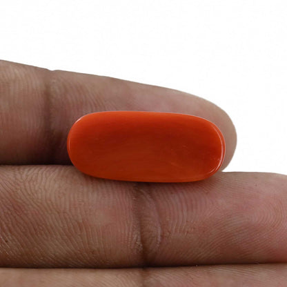 Red Coral (Moonga) - 10.43 Carat