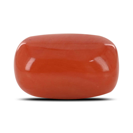 Red Coral (Moonga) - 8.6 Carat