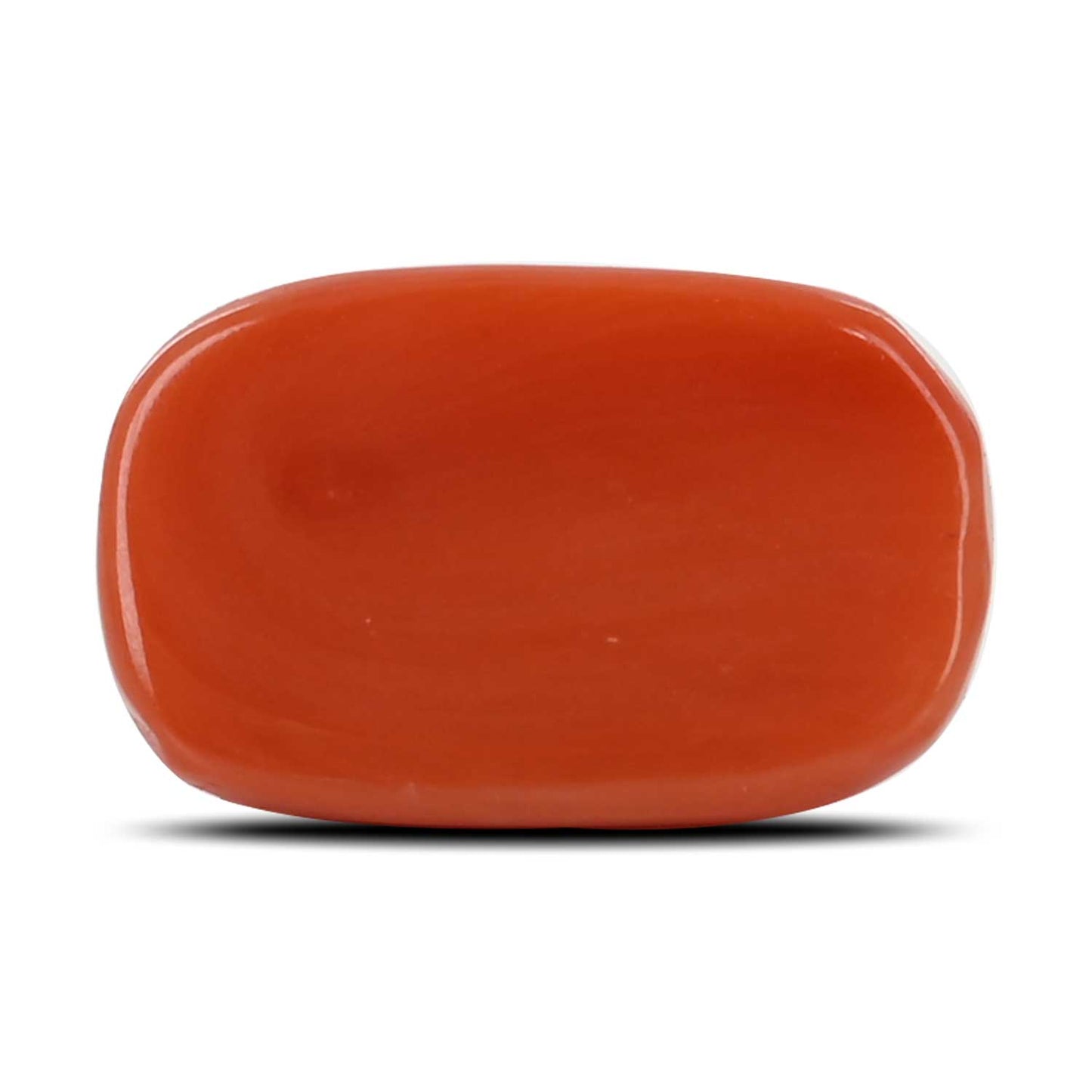 Red Coral (Moonga) - 8.6 Carat