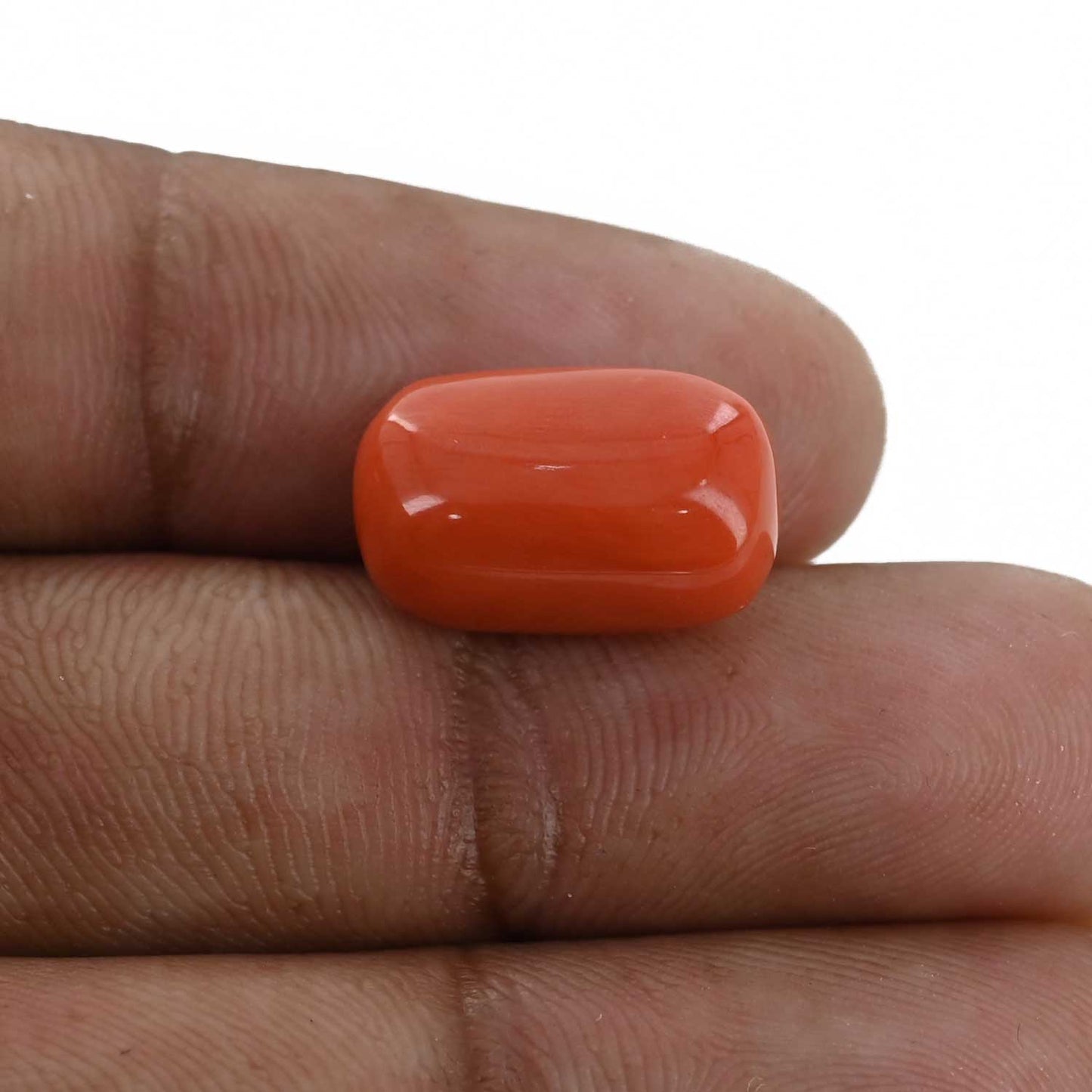 Red Coral (Moonga) - 8.6 Carat