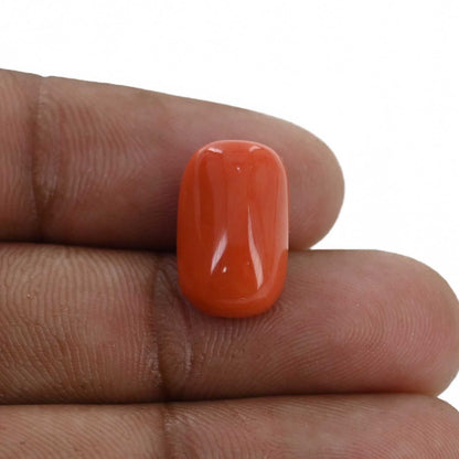 Red Coral (Moonga) - 8.6 Carat