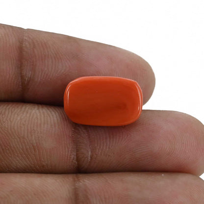 Red Coral (Moonga) - 8.6 Carat