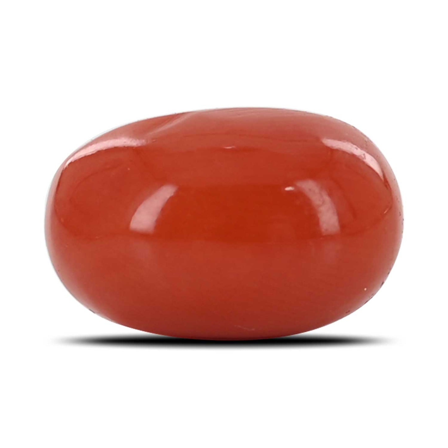 Red Coral (Moonga) - 5.89 Carat