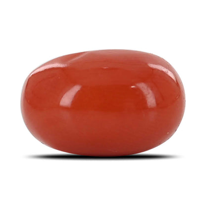 Red Coral (Moonga) - 5.89 Carat