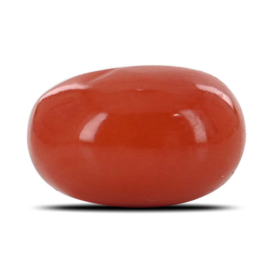 Red Coral (Moonga) - 5.89 Carat