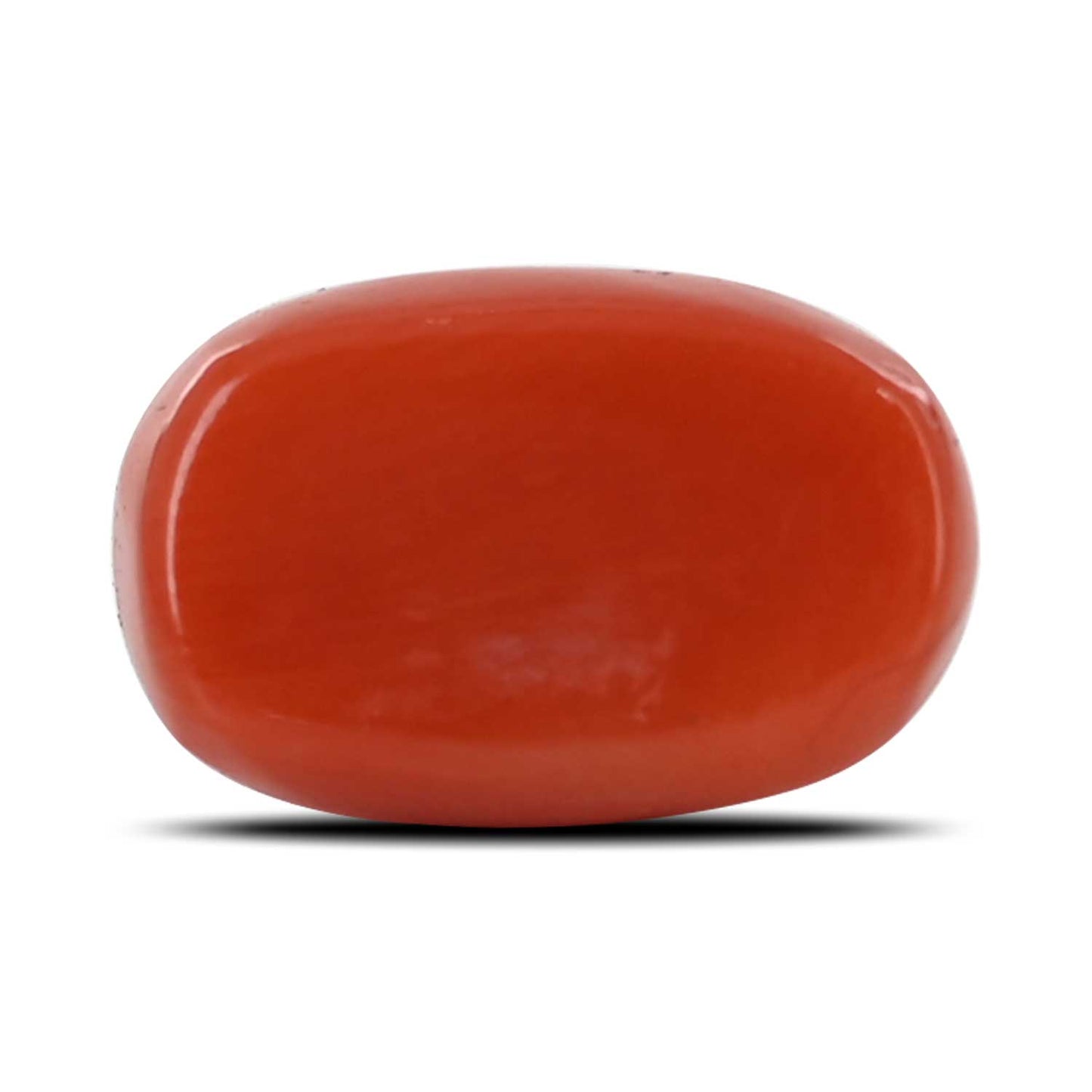 Red Coral (Moonga) - 5.89 Carat