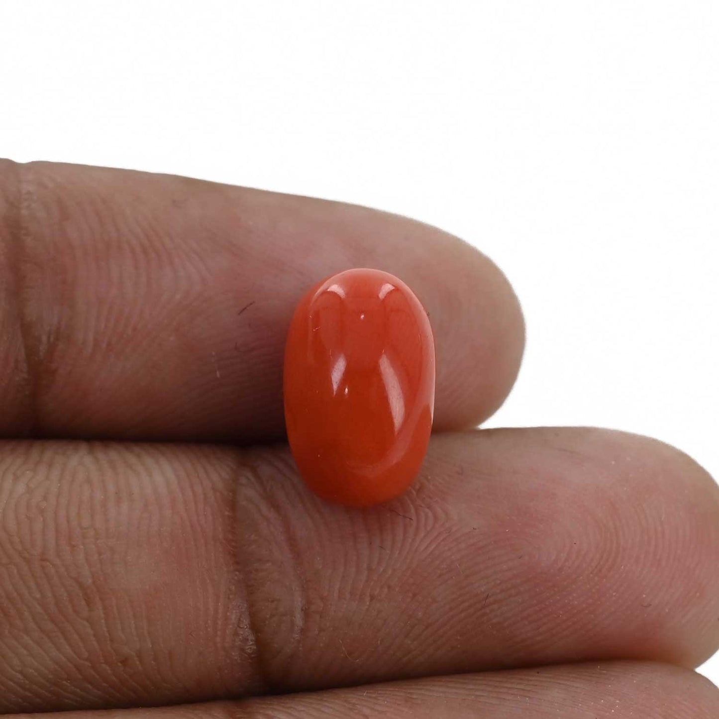 Red Coral (Moonga) - 5.89 Carat