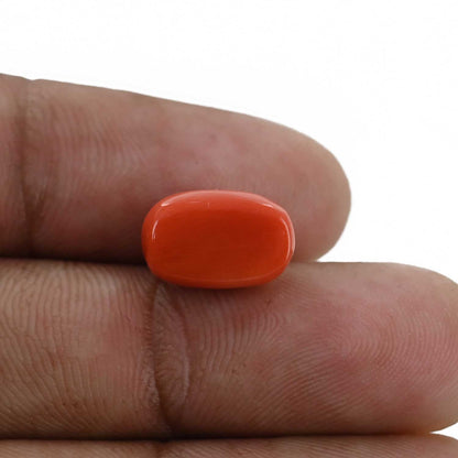 Red Coral (Moonga) - 5.89 Carat