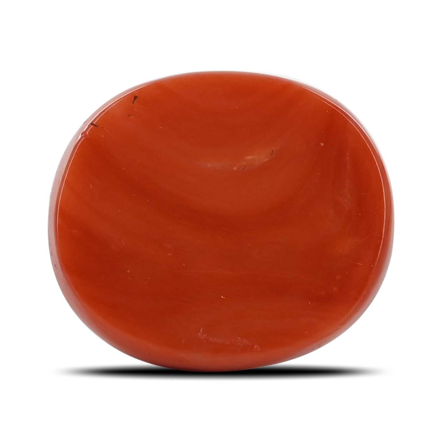 Red Coral (Moonga) - 30.6 Carat