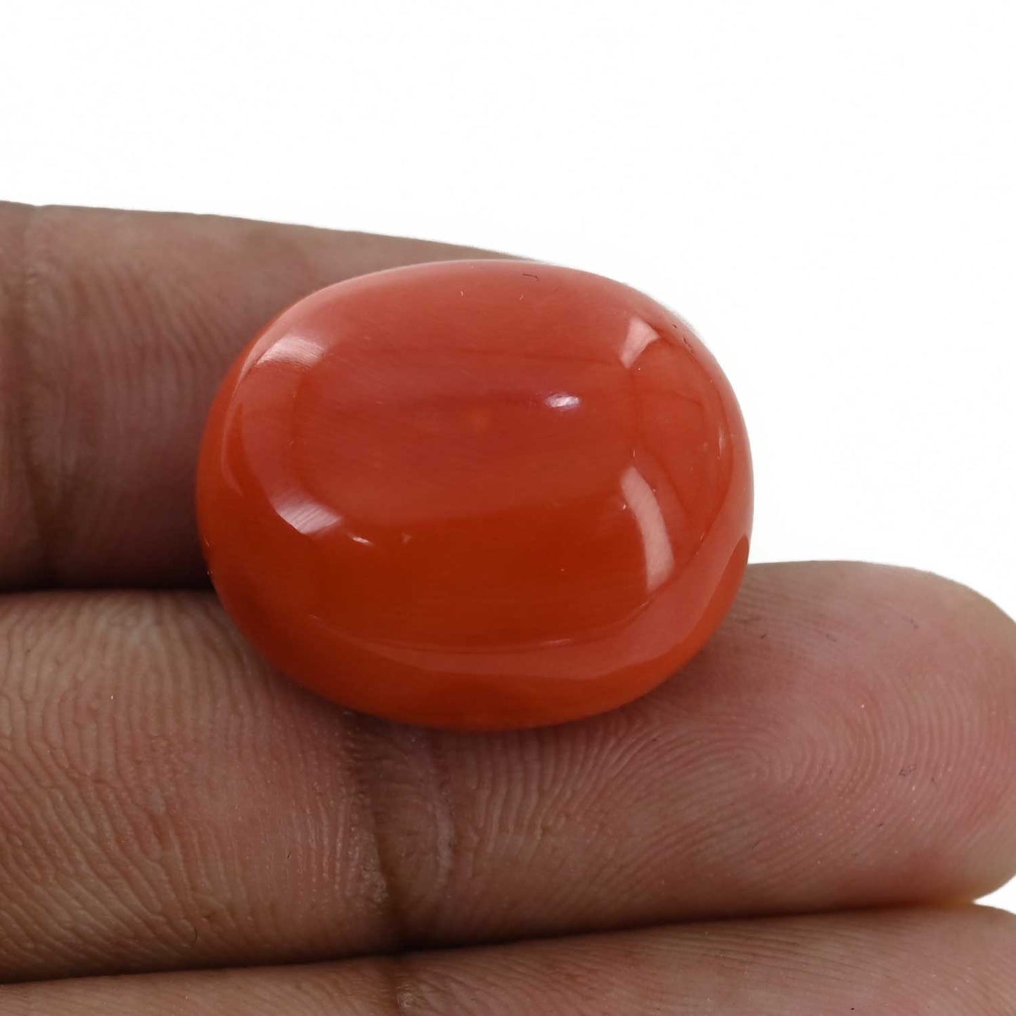 Red Coral (Moonga) - 30.6 Carat