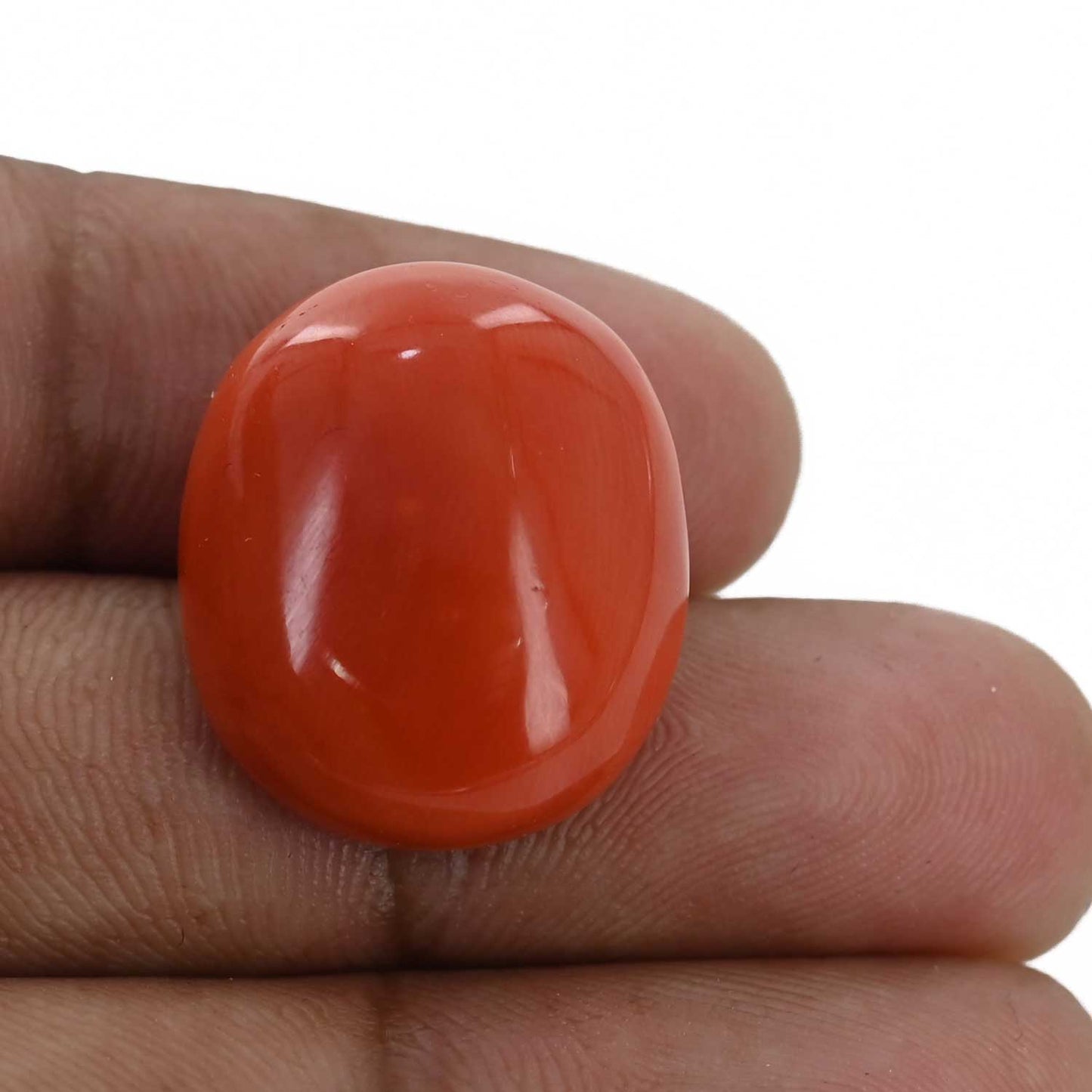 Red Coral (Moonga) - 30.6 Carat