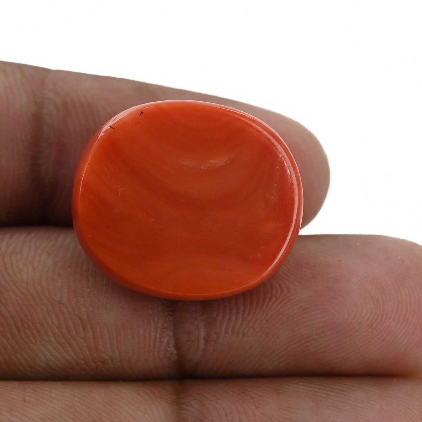 Red Coral (Moonga) - 30.6 Carat