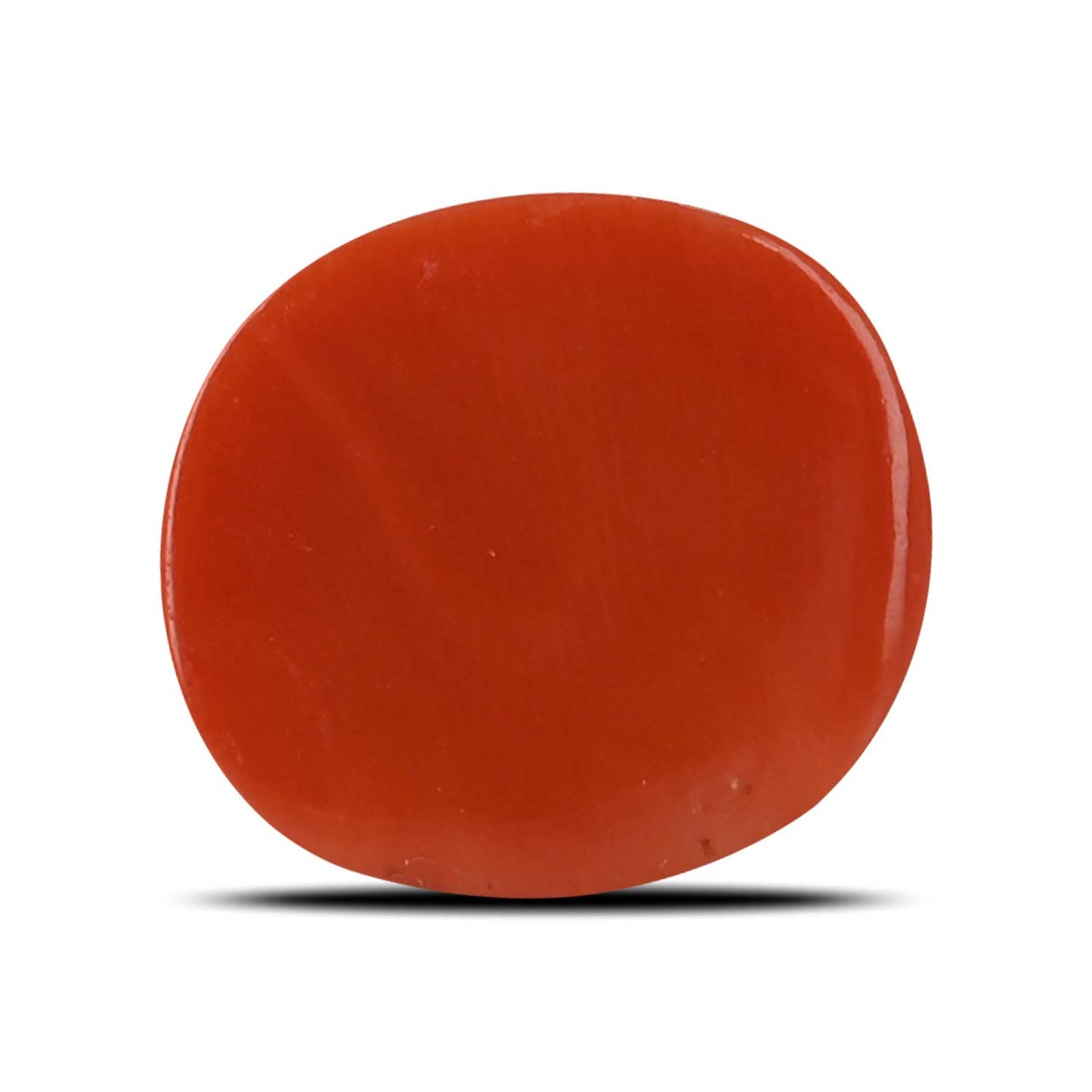 Red Coral (Moonga) - 11.59 Carat