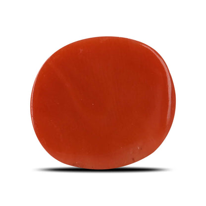 Red Coral (Moonga) - 11.59 Carat