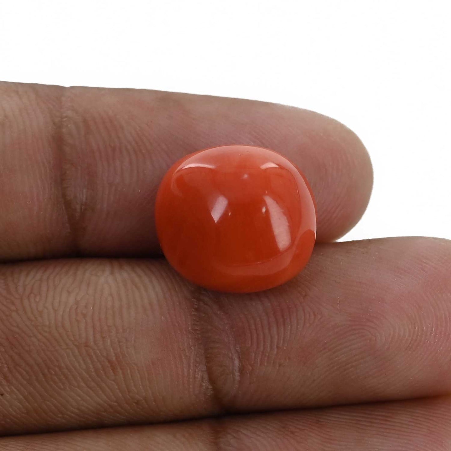 Red Coral (Moonga) - 11.59 Carat