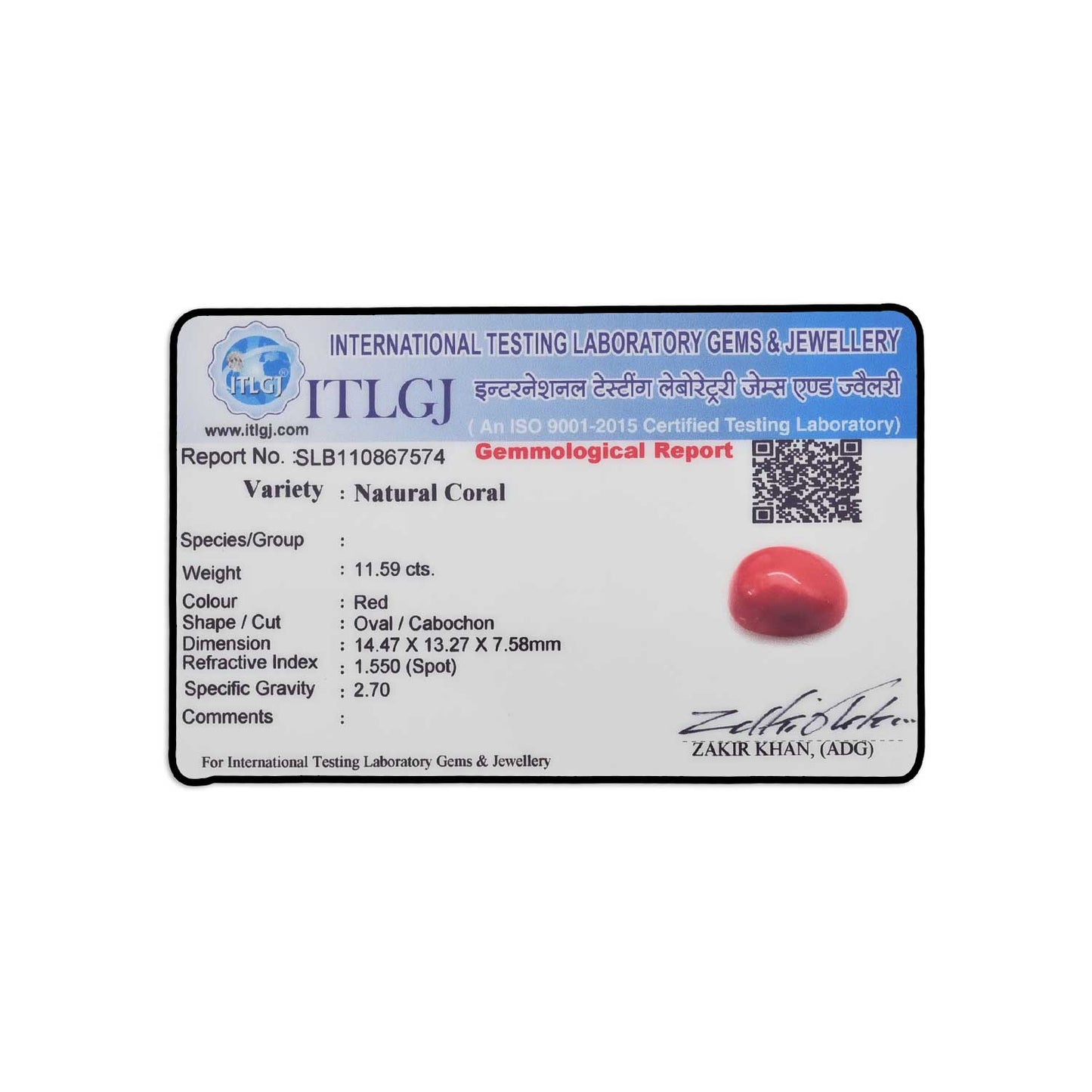 Red Coral (Moonga) - 11.59 Carat