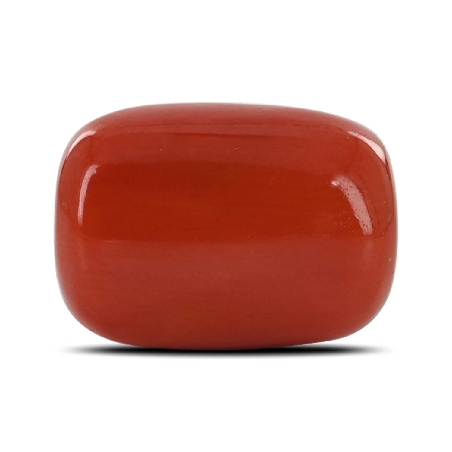 Purchase 13 Carat Red Coral (Moonga) at Best Prices