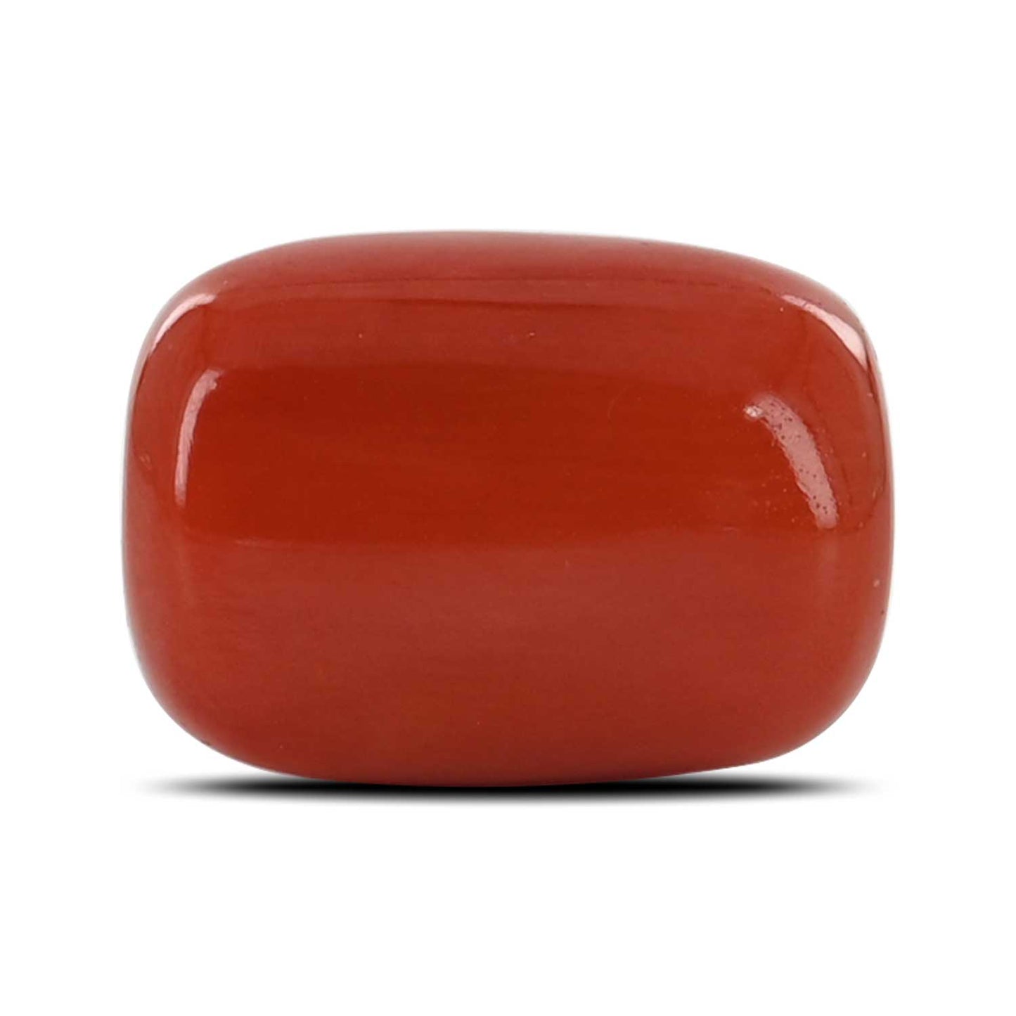 Red Coral (Moonga) - 13 Carat