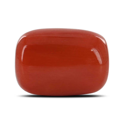 Red Coral (Moonga) - 13 Carat
