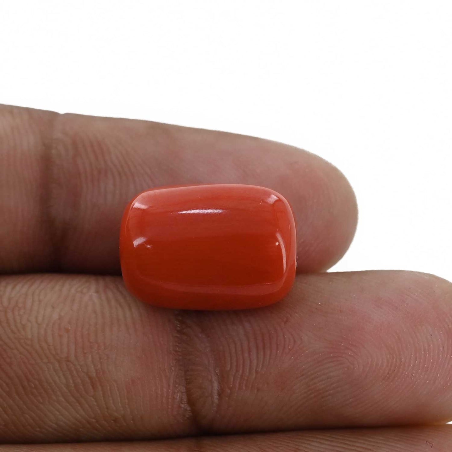Red Coral (Moonga) - 13 Carat