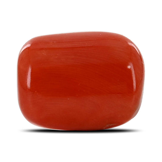 Red Coral (Moonga) - 20 Carat