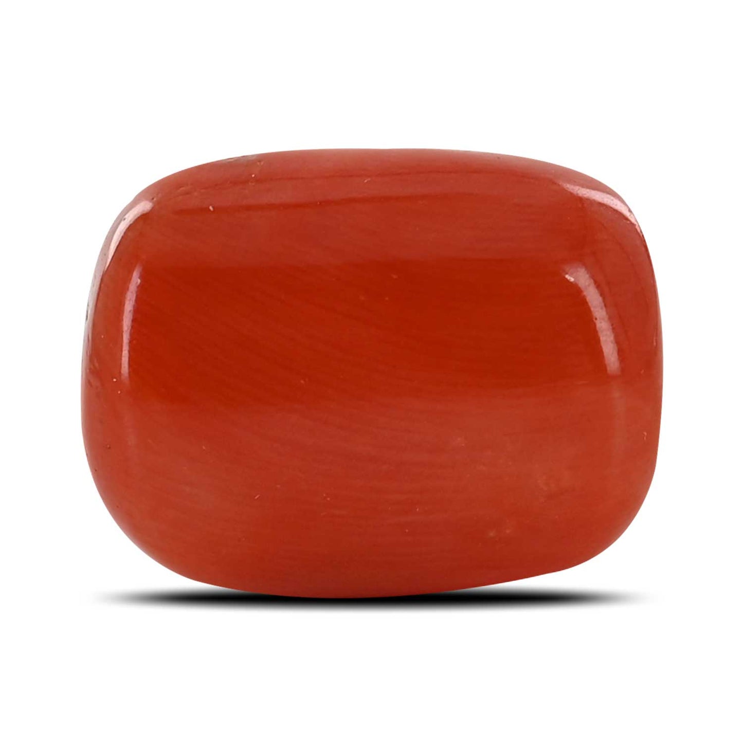 Red Coral (Moonga) - 20 Carat