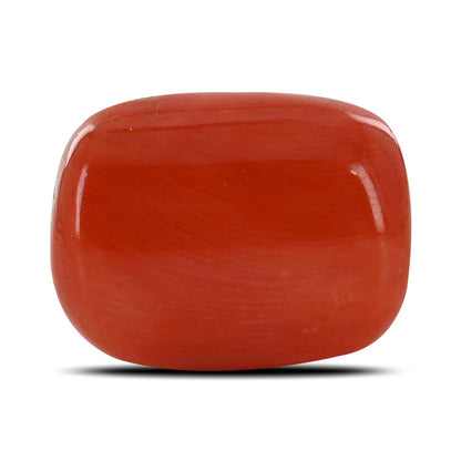 Red Coral (Moonga) - 20 Carat