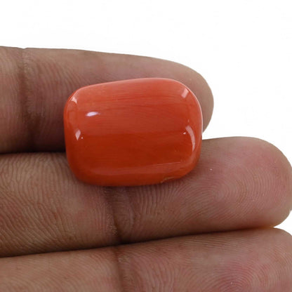 Red Coral (Moonga) - 20 Carat