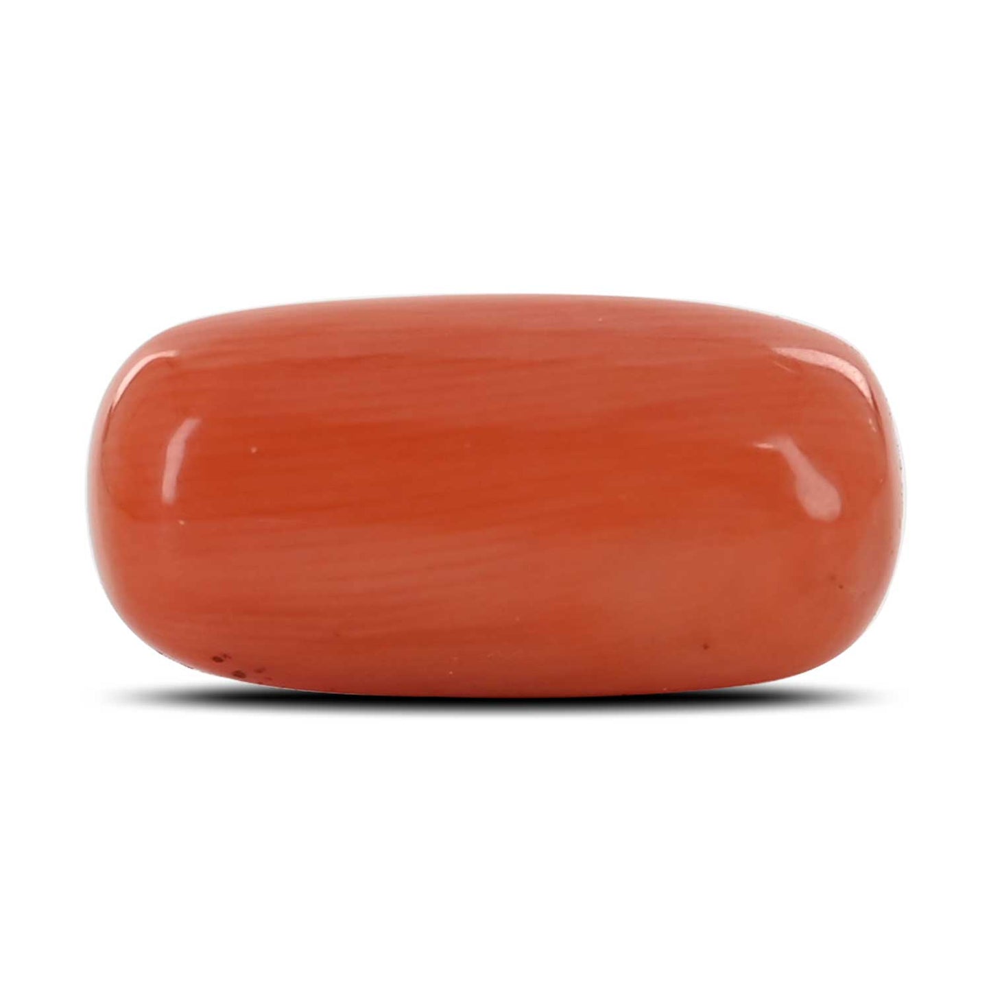 Red Coral (Moonga) - 11.71 Carat