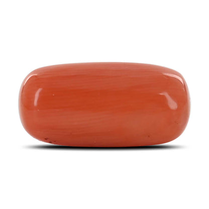 Red Coral (Moonga) - 11.71 Carat