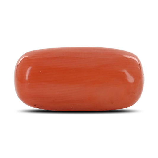 Red Coral (Moonga) - 11.71 Carat