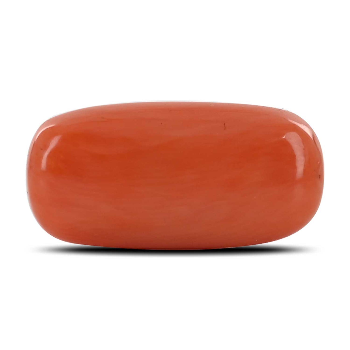 Red Coral (Moonga) - 11.71 Carat
