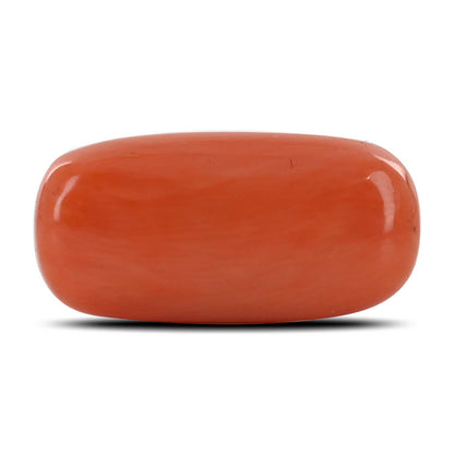 Red Coral (Moonga) - 11.71 Carat