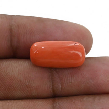 Red Coral (Moonga) - 11.71 Carat