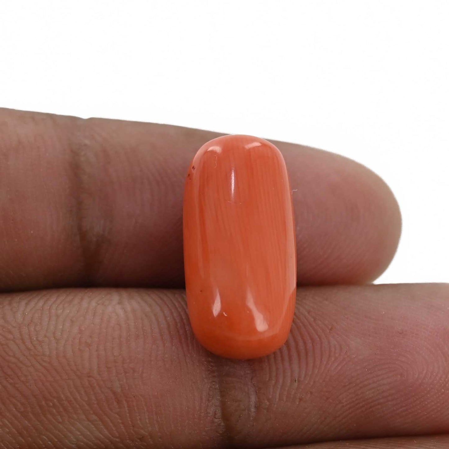 Red Coral (Moonga) - 11.71 Carat