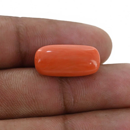 Red Coral (Moonga) - 11.71 Carat