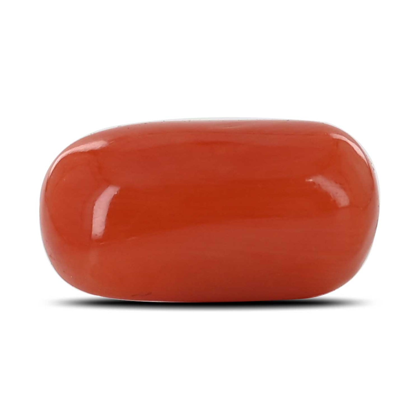 Red Coral (Moonga) - 9.23 Carat
