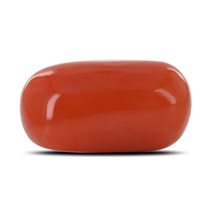 Red Coral (Moonga) - 9.23 Carat