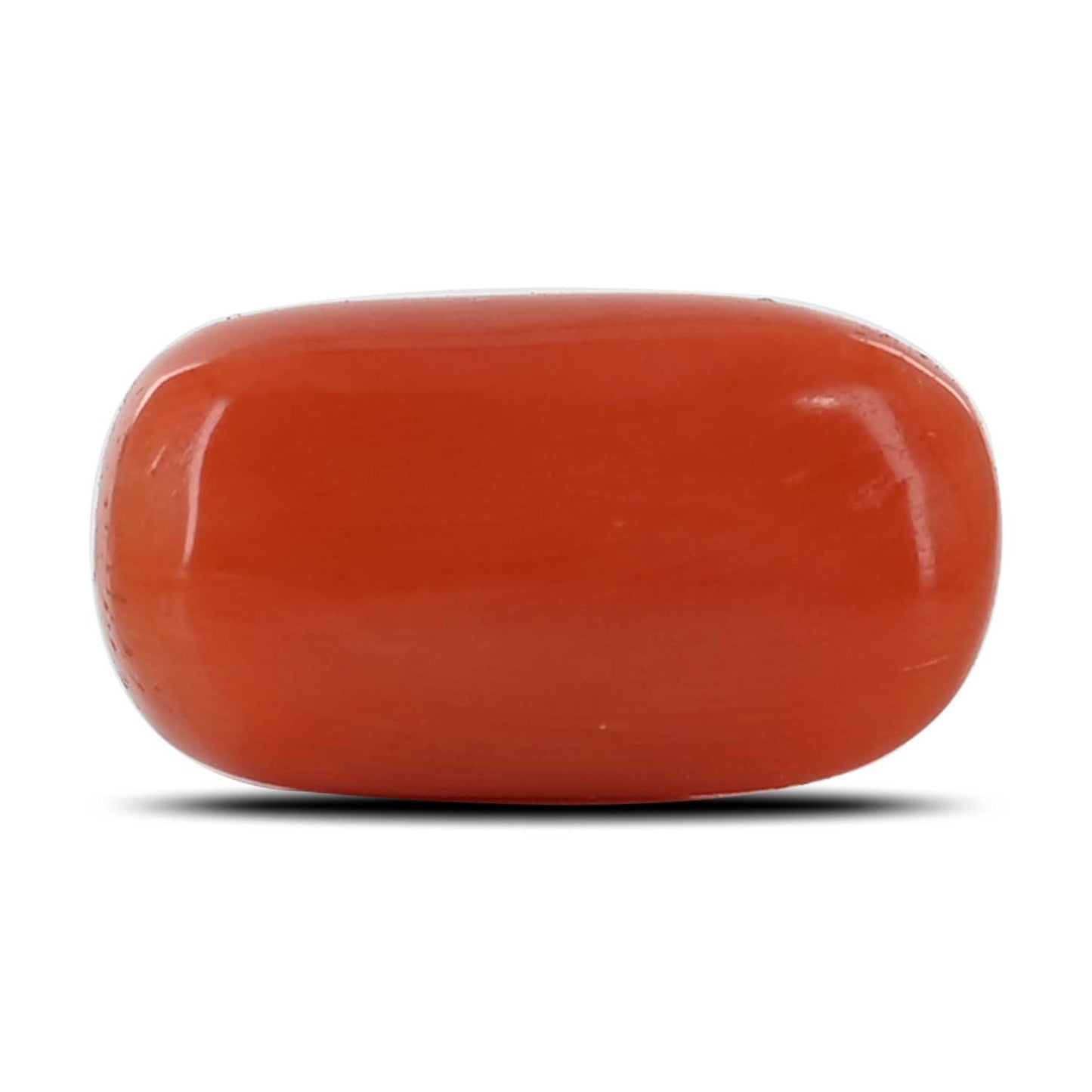 Red Coral (Moonga) - 9.23 Carat