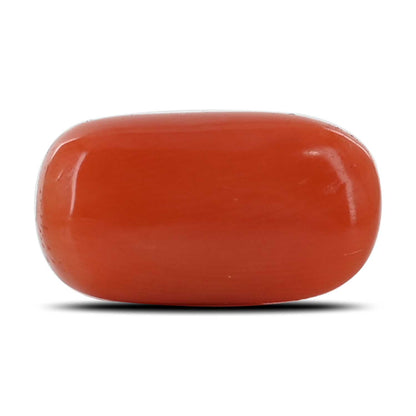 Red Coral (Moonga) - 9.23 Carat