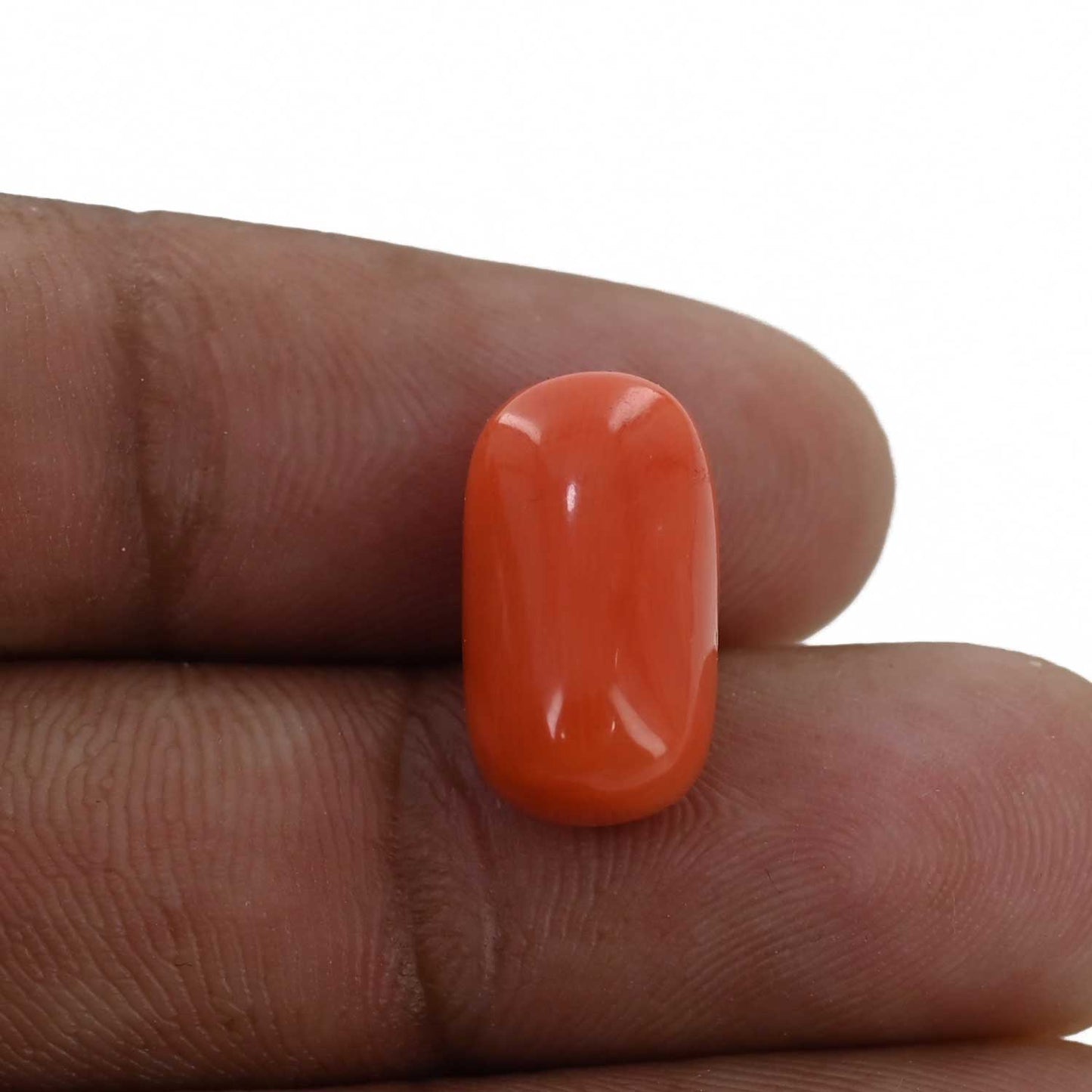 Red Coral (Moonga) - 9.23 Carat