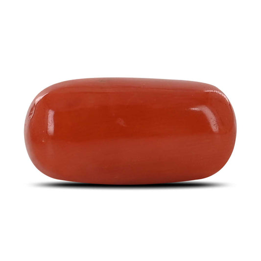 Red Coral (Moonga) - 14.67 Carat