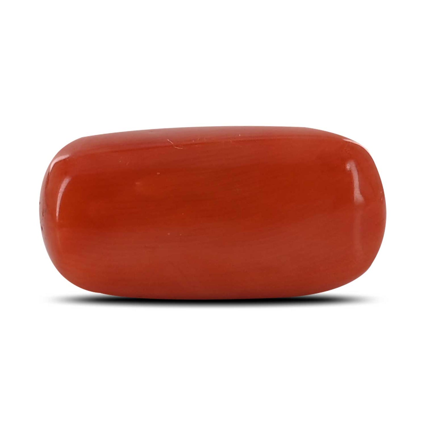 Red Coral (Moonga) - 14.67 Carat