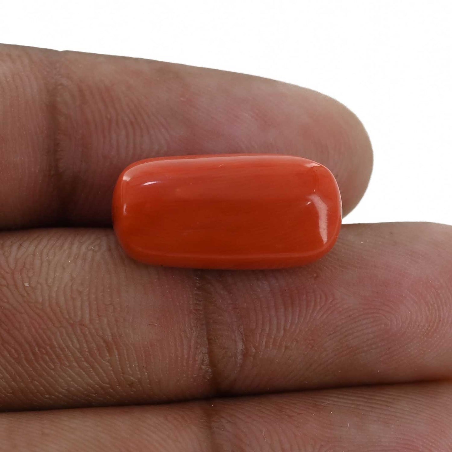 Red Coral (Moonga) - 14.67 Carat