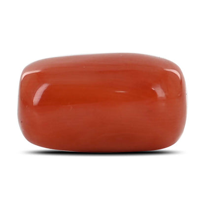 Red Coral (Moonga) - 17.52 Carat