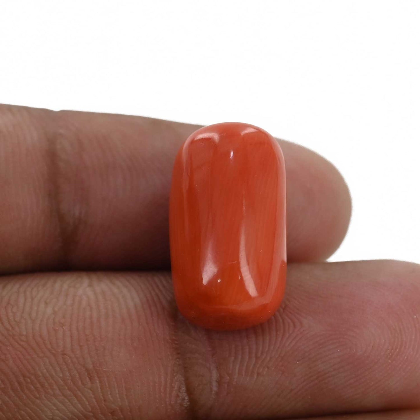 Red Coral (Moonga) - 17.52 Carat