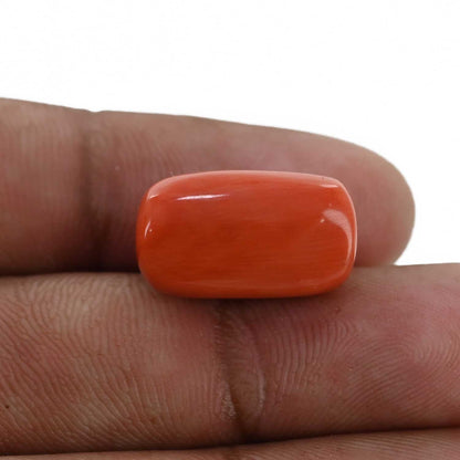 Red Coral (Moonga) - 17.52 Carat