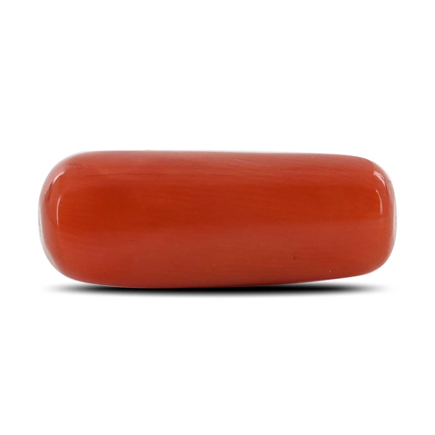 Red Coral (Moonga) - 10.04 Carat