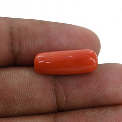 Red Coral (Moonga) - 10.04 Carat